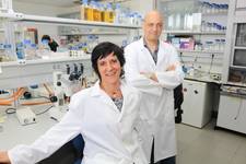 Dianas moleculares fertilidad diabetes
